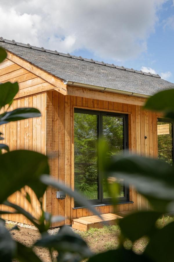 The Weeping Willow Bury St. Edmunds Exterior foto